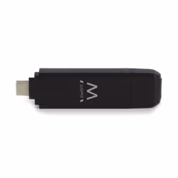 Ewent EW1075 lecteur de carte mémoire USB 3.2 Gen 1 (3.1 Gen 1) Type-A/Type-C Noir