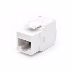 WP WPC-KEY-6AUP-TL/W, Plat, Blanc, RJ-45, Femelle, 10GBase-T, 26/22