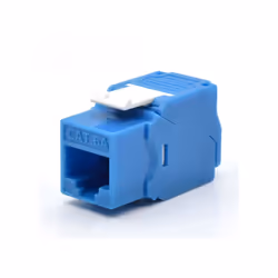 WP WPC-KEY-6AUP-TL/B, Plat, Bleu, RJ-45, RJ-45, Femelle, Femelle