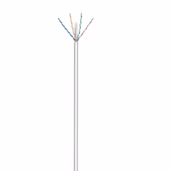 Ewent IM1214, 100 m, Cat6, U/UTP (UTP)