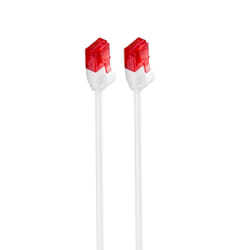 Ewent IM1035 câble de réseau Blanc 0,25 m Cat6 U/UTP (UTP)