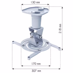 Techly ICA-PM 100WH support pour projecteurs Plafond Blanc