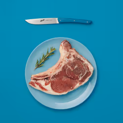 Berkel KCO4SW11SRPBL Couteau de cuisine Acier inoxydable 4 pièce(s) Couteau à steak