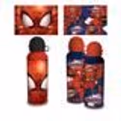 Gourde Spiderman Marvel 500 ml Aluminium
