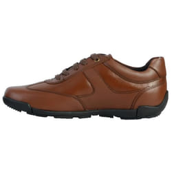 Basket Geox - GEOX - Edgware - Cuir - Marron - Homme