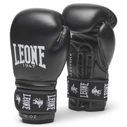 Gants de boxe Leone ambassador