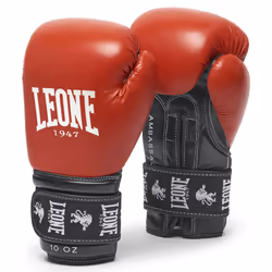 Gants de boxe Leone ambassador