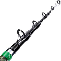 Falcon Sturgeon Compact Esturgeon 420 Canne à Pêche  Noir Vert Vario 4.20 MT X 250 Gr