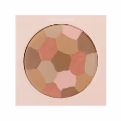 Astra Pure Beauty poudre de visage 8 g 01 Mother Earth