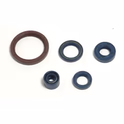 Pochette de joints moteur ATHENA P400220400255