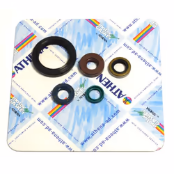 Pochette de joints moteur ATHENA P400250400049