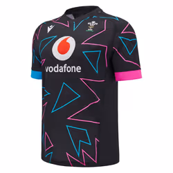 Maillot Extérieur Pays de Galles 2024/25
