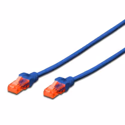 Ewent IM1001, 0,5 m, Cat6, U/UTP (UTP), RJ-45, RJ-45