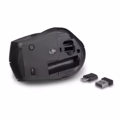 Ewent EW3245 souris Droitier RF sans fil Optique 2400 DPI