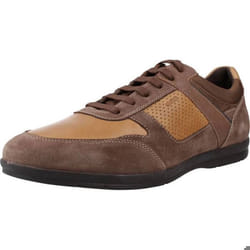 Geox modèle U Adrien Marron