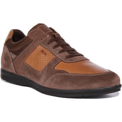 Geox modèle U Adrien Marron