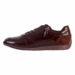 Basket Basse Geox Cuir Calithe
