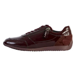 Basket Basse Geox Cuir Calithe