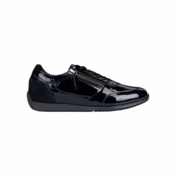 Basket Basse Geox Cuir Calithe