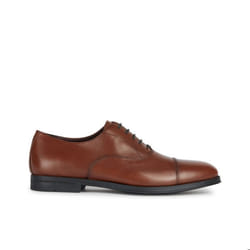 Derbie Geox Decio
