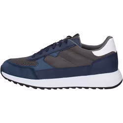 Baskets Geox Molveno