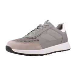 Baskets Geox Molveno