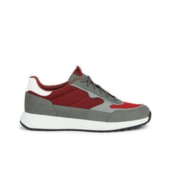 Baskets Geox Molveno