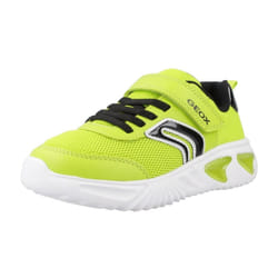 Baskets enfant Geox Assister