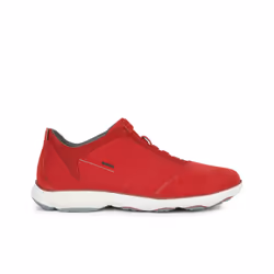 Baskets Geox Nebula