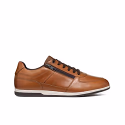 Baskets Geox Renan
