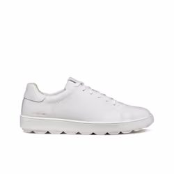Baskets Geox Spherica Ecub-1 C