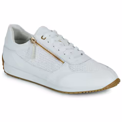 Basket Basse à Lacets Geox Junior Mikiroshi Synth.Lea