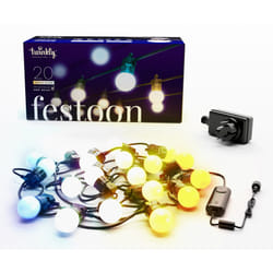 Twinkly Festoon (Gold & Silver) Éclairage de jardin intelligent