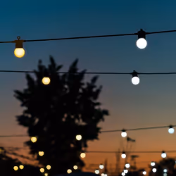 Twinkly Festoon (Gold & Silver) Éclairage de jardin intelligent