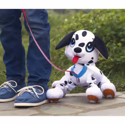 Les Toufous Dalmatien