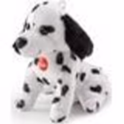 Trudi - Sw Col Dalmatien, Garçon/Fille, Chine, CE