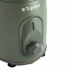 Tognana Porcellane D2DFU01IRVE blender 0,8 L Mélangeur de table 300 W Vert