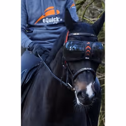 Lunettes cheval eQuick eVysor