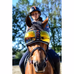 Lunettes cheval eQuick eVysor