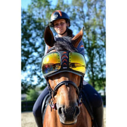Lunettes cheval eQuick eVysor
