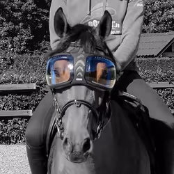 Verres de rechange lunettes cheval eQuick eVysor