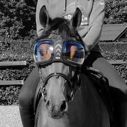 Verres de rechange lunettes cheval eQuick eVysor