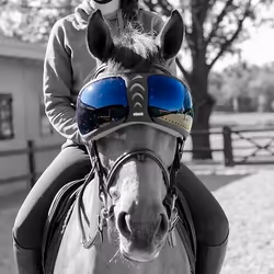 Verres de rechange lunettes cheval eQuick eVysor