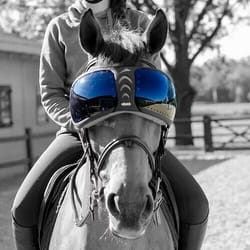 Verres de rechange lunettes cheval eQuick eVysor