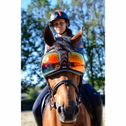 Lunettes cheval eQuick eVysor