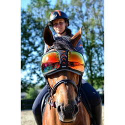 Lunettes cheval eQuick eVysor