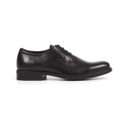 Derbie Geox Carnaby Smooth Leather