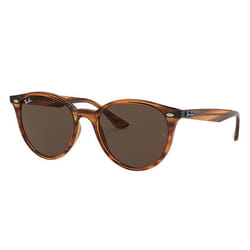 Ray-Ban RB4305 lunettes de soleil