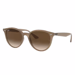 Ray-Ban RB4305, Adulte, Unisexe, Verres non polarisés, Propionate, Marron