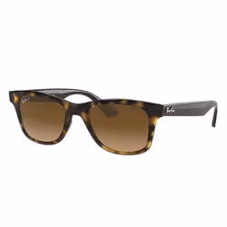 Ray-Ban RB4640, Adulte, Unisexe, Carré, Tortue, Verres polarisés, Nylon